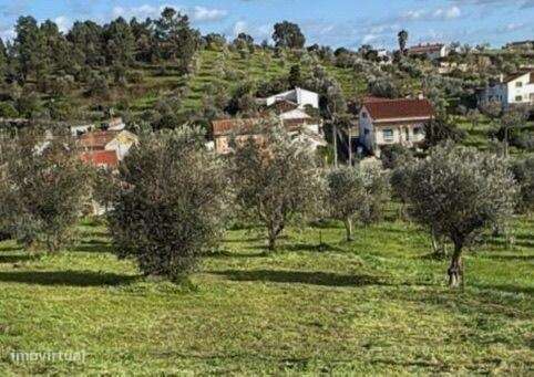 Terreno Urbano para venda em Mouriscas, Abrantes-2