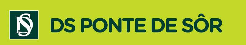 Decisões e Soluções Ponte de Sor