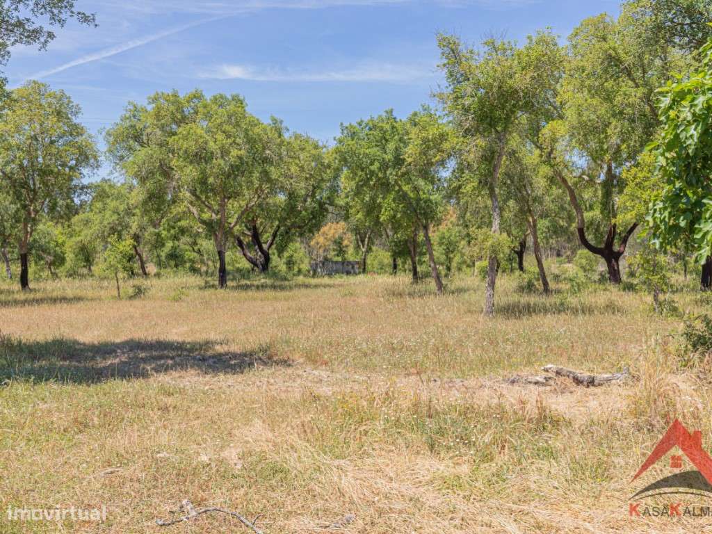 HERDADE DO BARRANCO - OPORTUNIDADE ÚNICA PARA TURISMO E INVESTIMENTO-48