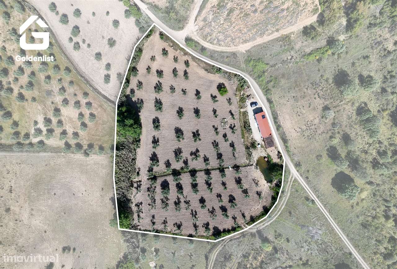 Quinta T2 Venda em Ladoeiro,Idanha-a-Nova-36