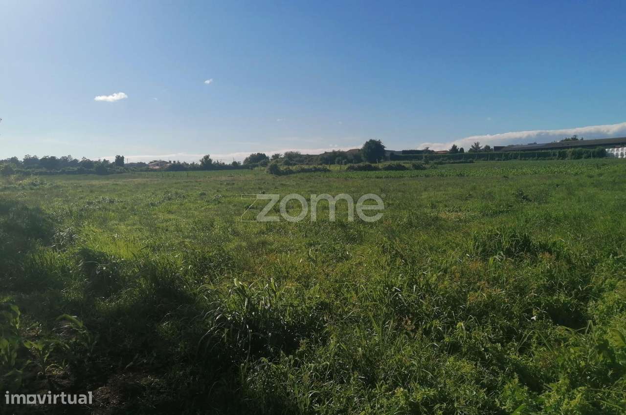 Terreno rústico com 5.000 M2 em Fradelos V.N. Famalicão - Grande imagem: 4/17