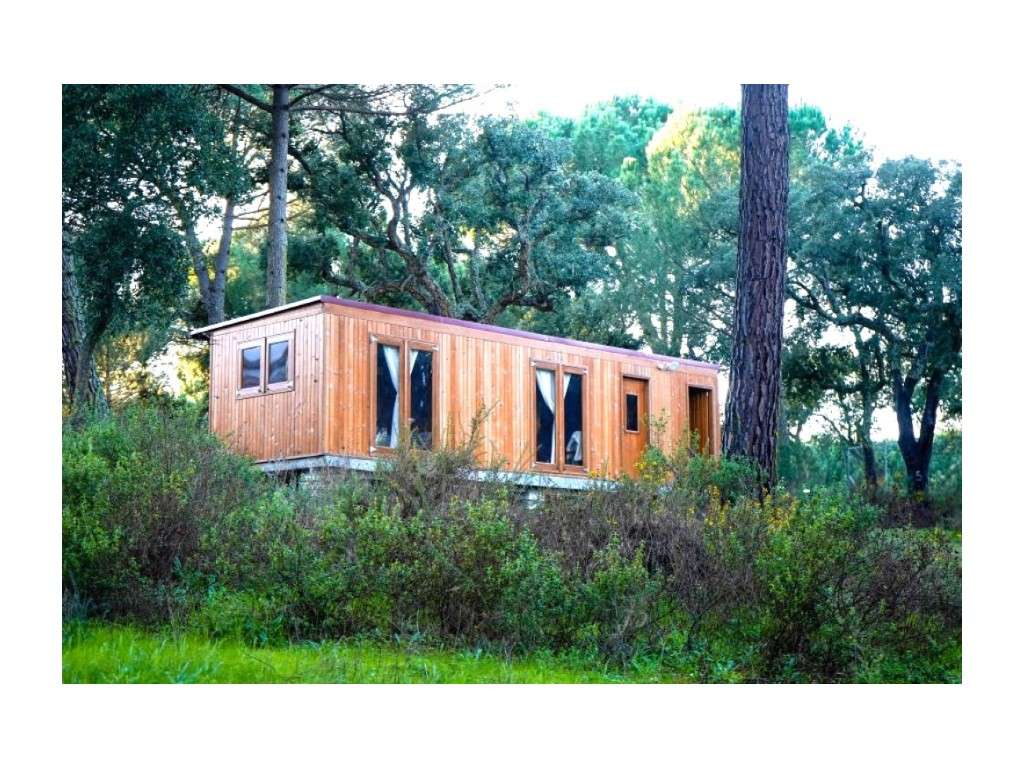 Monte Alentejano com 8,2 Hectares - Um Paraíso de Natureza e Sereni...-26