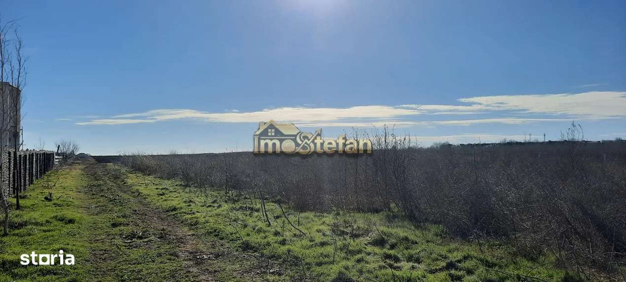 Teren Intravilan Vama Veche | 7.495 mp | Oportunitate Investiție-6
