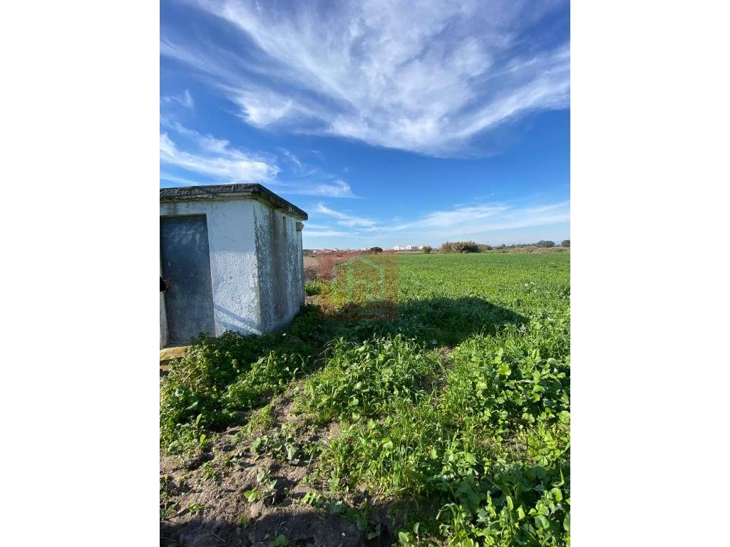 Terreno rústico com 9480 m2 no Samouco - Grande imagem: 5/22