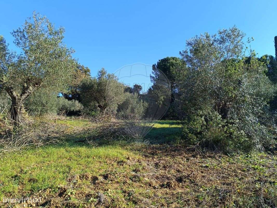 Terreno  para venda - Grande imagem: 3/5