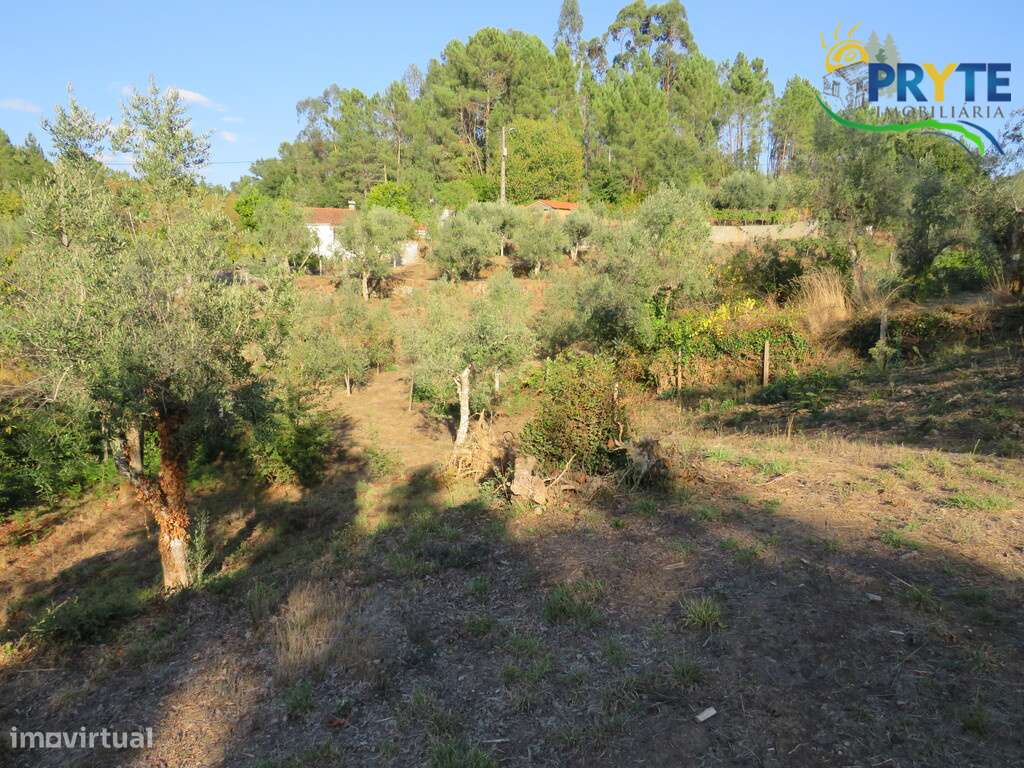 Quintinha composta por prédio urbano(arrecadação) e dois rústicos - Grande imagem: 5/15