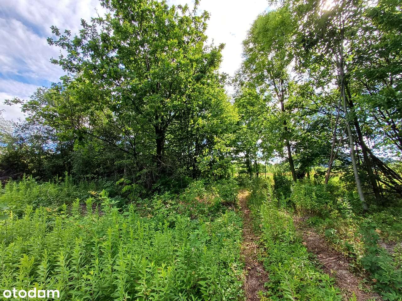 Działki na sprzedaż - Lanckorona ul. Krakowska-5