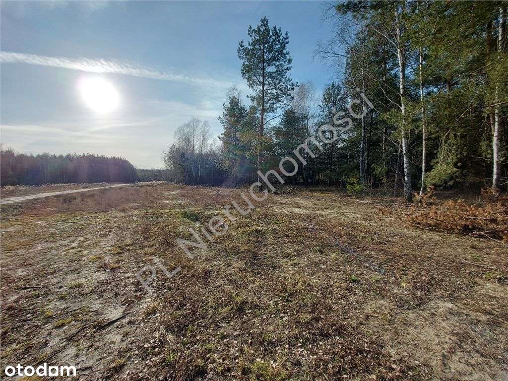 Ostatnia - Piękna Działka W Dobrej Cenie-6