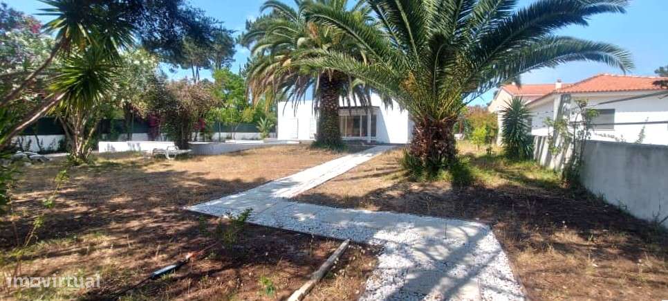 VERDIZELA - MORADIA ISOLADA em 1.000m2 de lote! - Grande imagem: 5/13