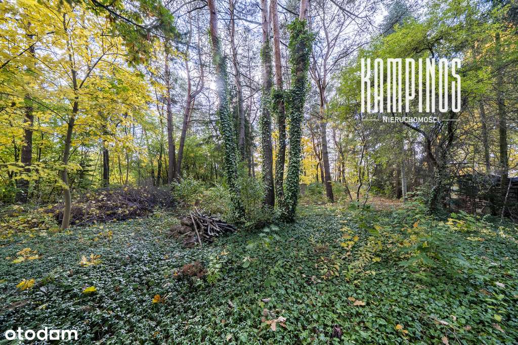 Zadrzewiona działka budowlana w Izabelinie C-4