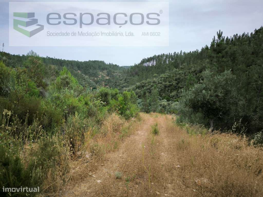 Terreno a confinar com ribeira - Grande imagem: 4/13