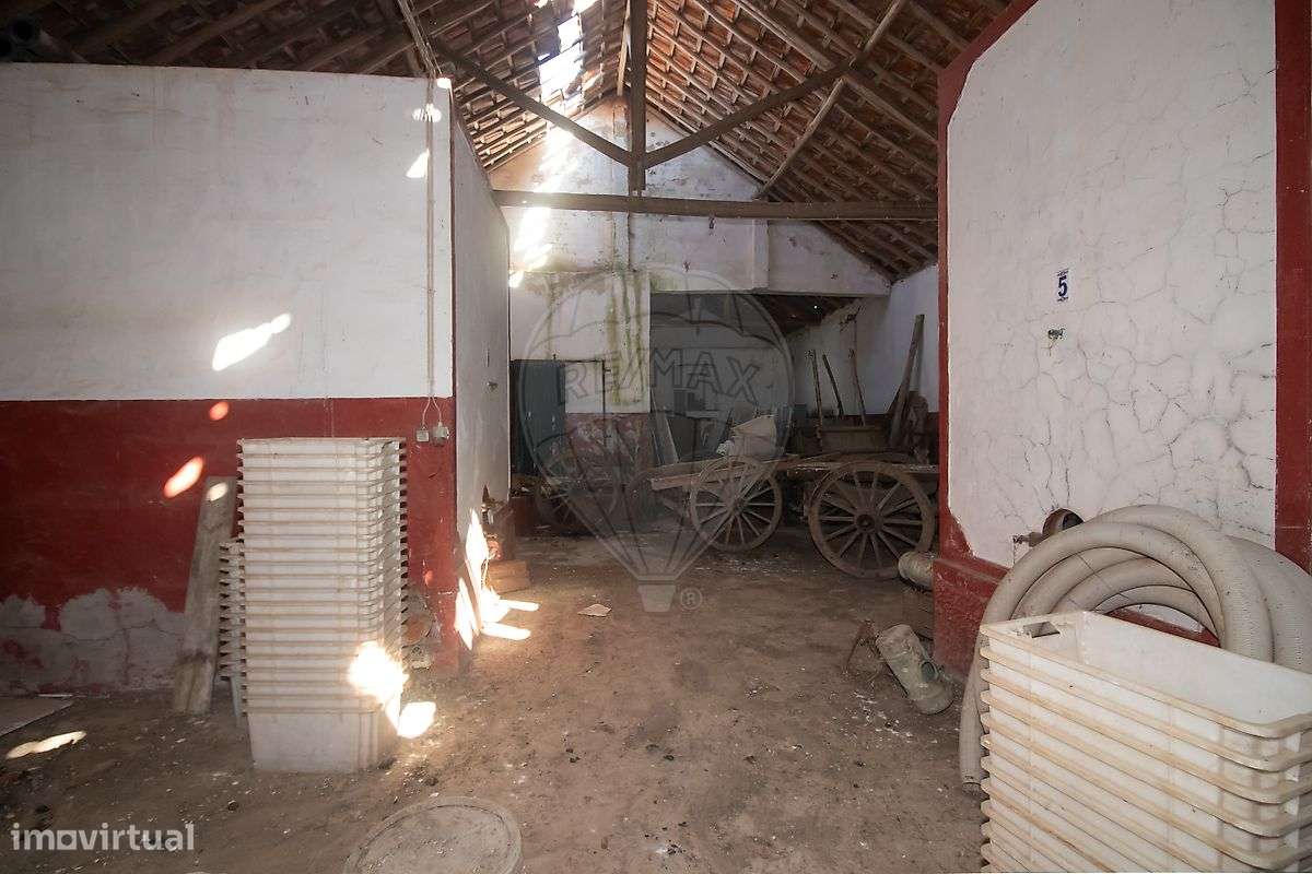 Armazém  para venda - Grande imagem: 4/8