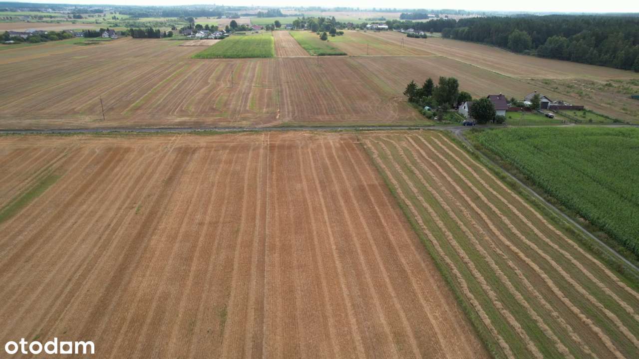 Budowlana  10 ar  pod lasem Sieroczyn Człuchów - Pełny obrazek: 5/8