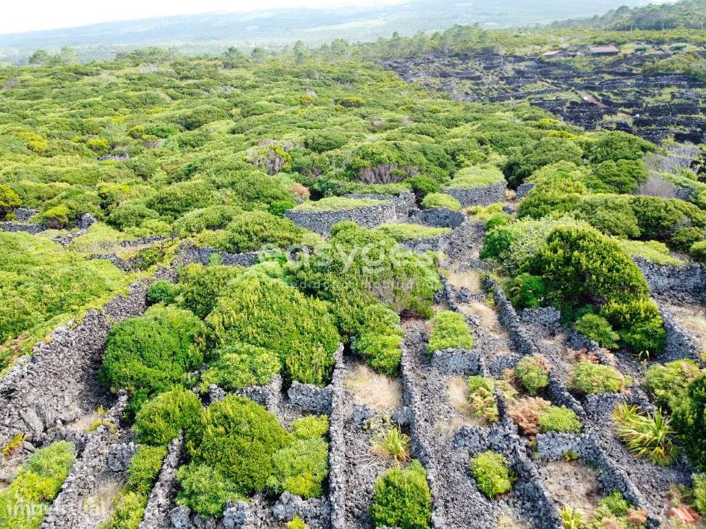Terreno para construção com privacidade e vista Mar e Montanha - Grande imagem: 2/15