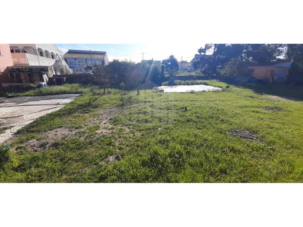 O Lugar Ideal para a Sua Futura Moradia no Pinhal do General-23
