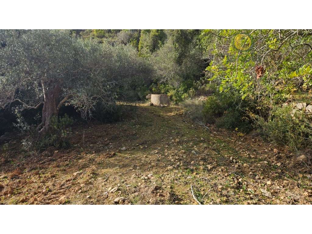 Terreno Rústico em Estoi com Poço-4