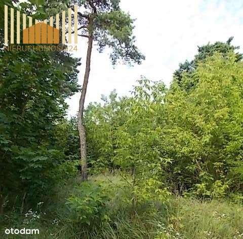 Działka Inwestycja 2800 m2 , Warszawa Radość