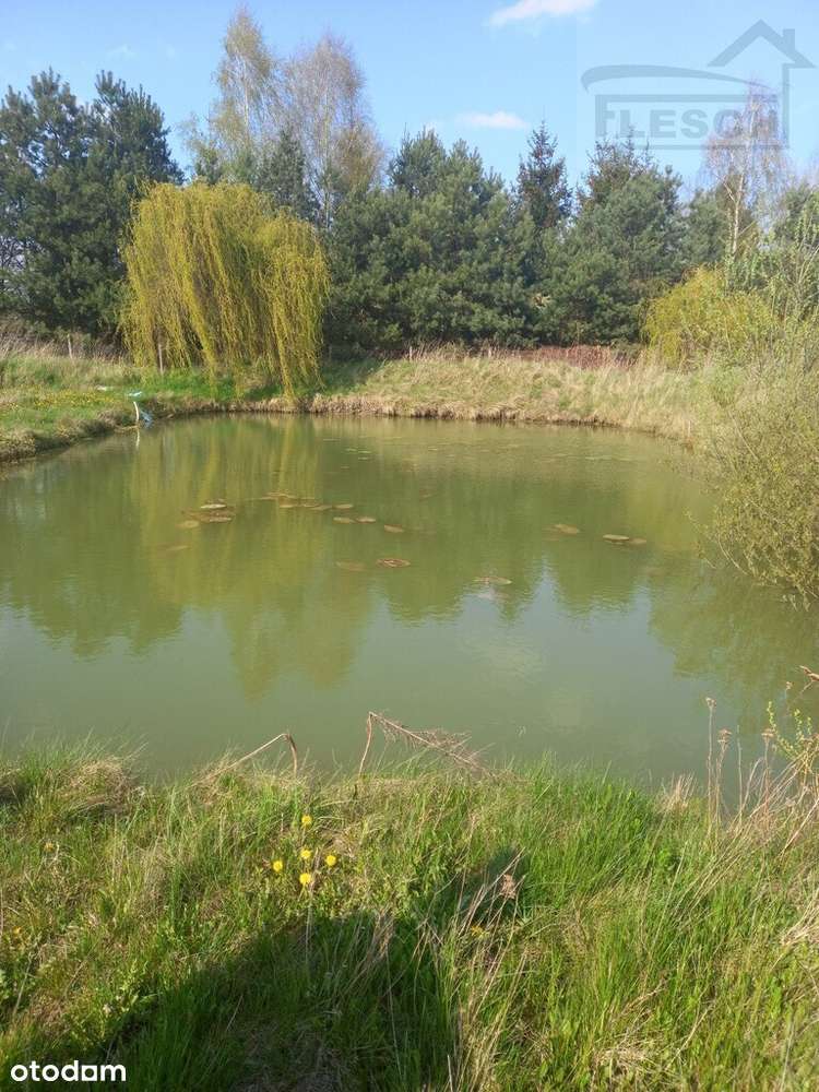 Działka-rolno budowlana Pniewy 15100 m² - More