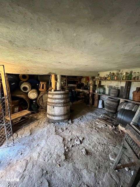 Casa veche cu teren generos in com. Rosiile, Jud. Valcea-11