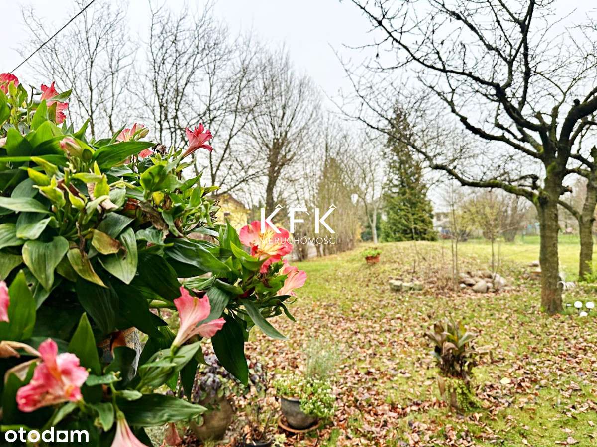 Willa Z dużym potencjałem Duża Działka FILM-8