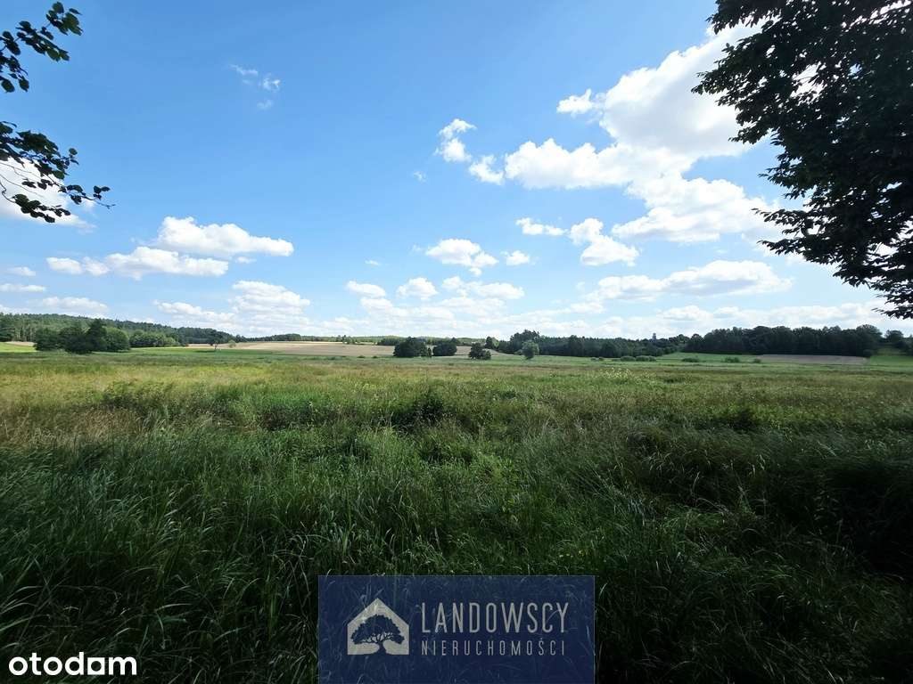 Malownicza łąka nad rzeką Wierzycą - Pogódki - Pełny obrazek: 5/18