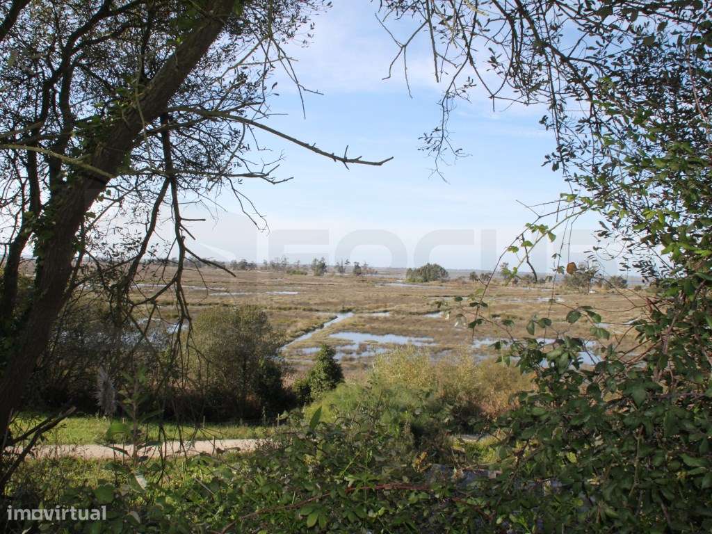 Terreno para construção de moradia com vistas Ria - Passadiços - Grande imagem: 4/9