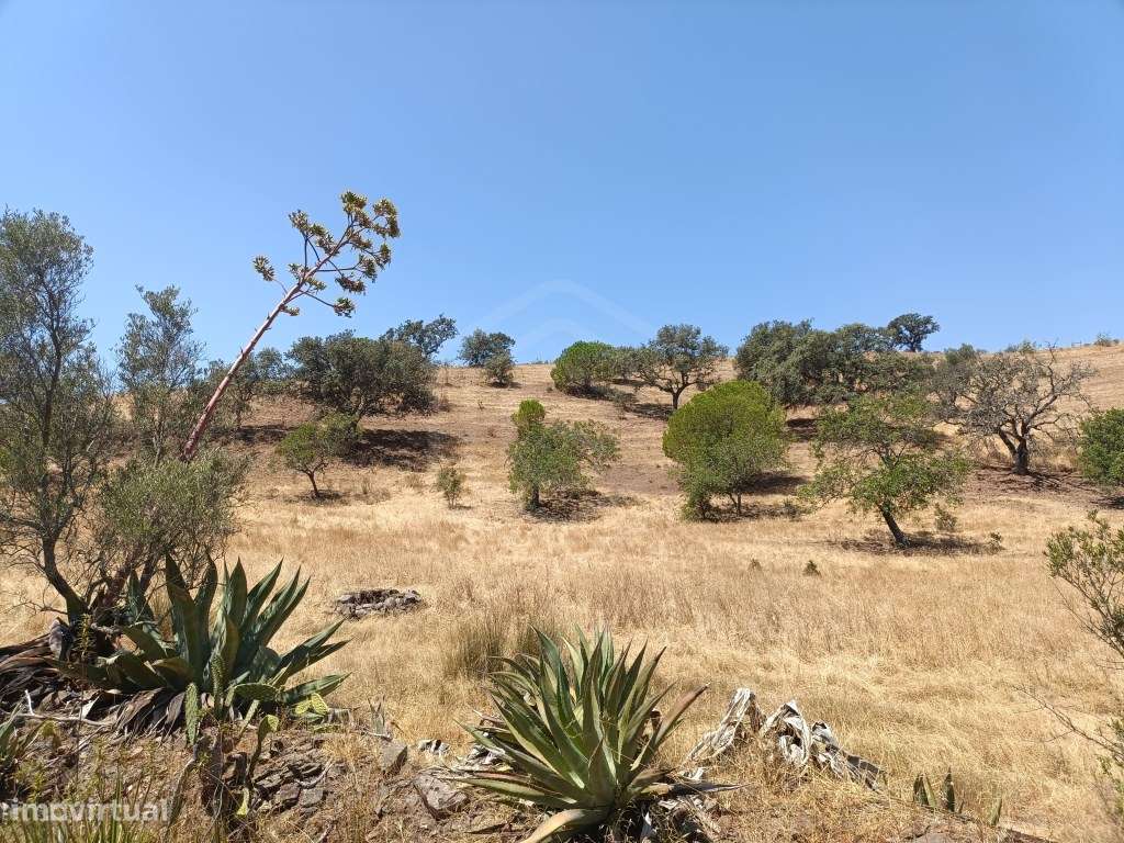 Terreno rústico no Malhão em Castro Marim, Algarve - Grande imagem: 4/10