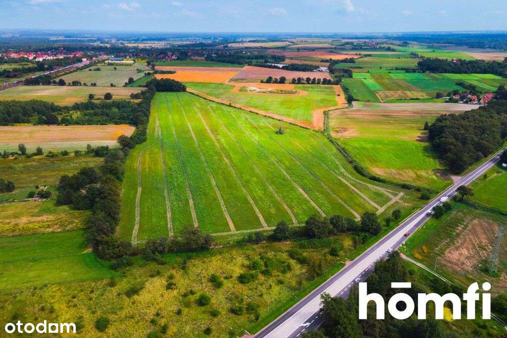 Działka inwestycyjna 11,9 ha w Mazurowicach-2