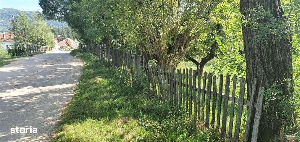 Teren Poienari la doar 9 km de Cetate - Imagine principală: 2/4