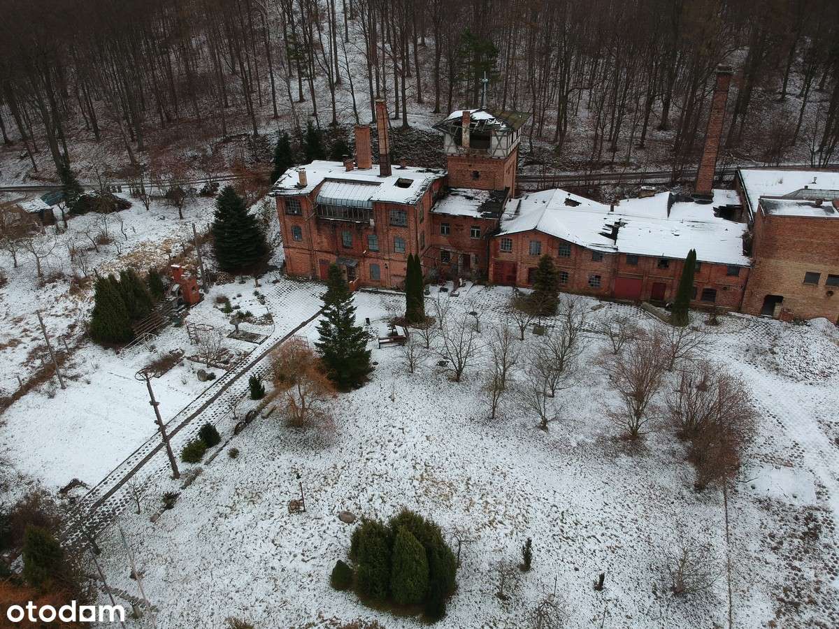Na sprzedaż cegielnia Kadyny - Pełny obrazek: 3/13