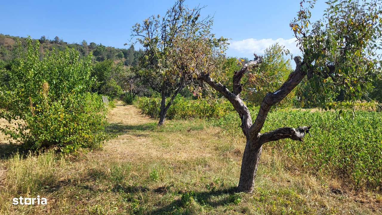 Casă de vânzare în mediul rural – liniște, natură și confort-19