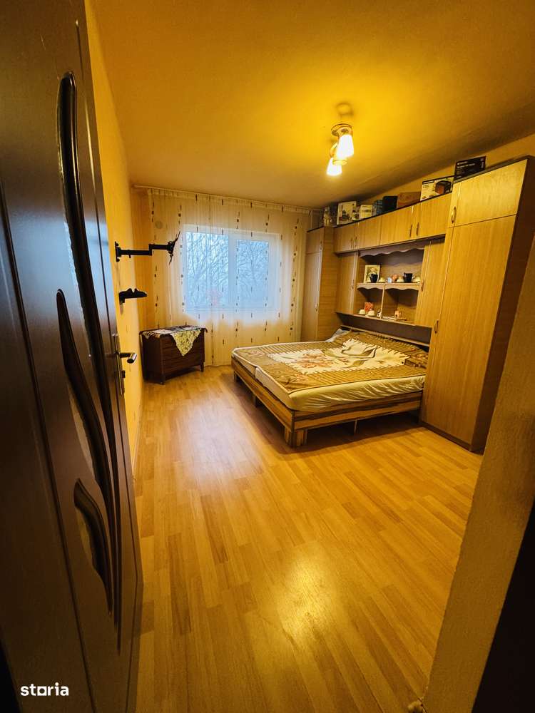 Apartament 2 canere la 5 minute de Arad - Imagine principală: 5/8