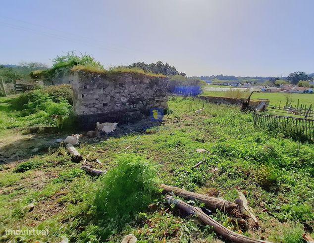 Terreno urbano com 15.867 m2 em Cela, Alcobaça,  e ruína de 336,30 m2-14