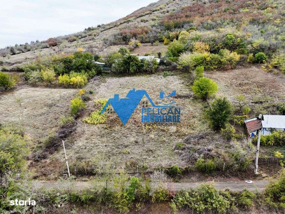 Teren intravilan NICULITEL, zona deosebita, 3044MP-12