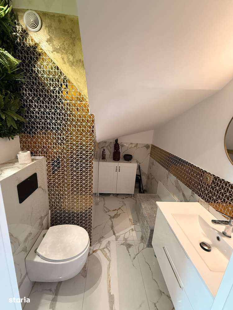 Casa insiruita zona Sesu de Sus-8