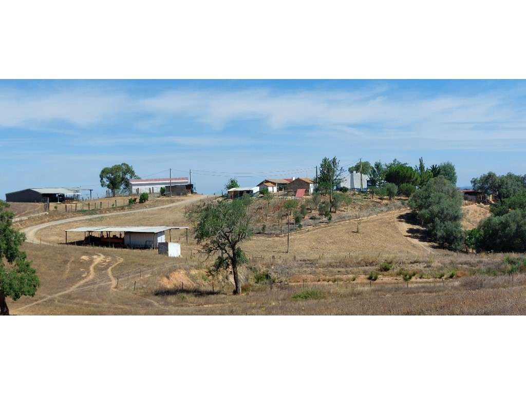 HERDADE 92 ha l Colos-37