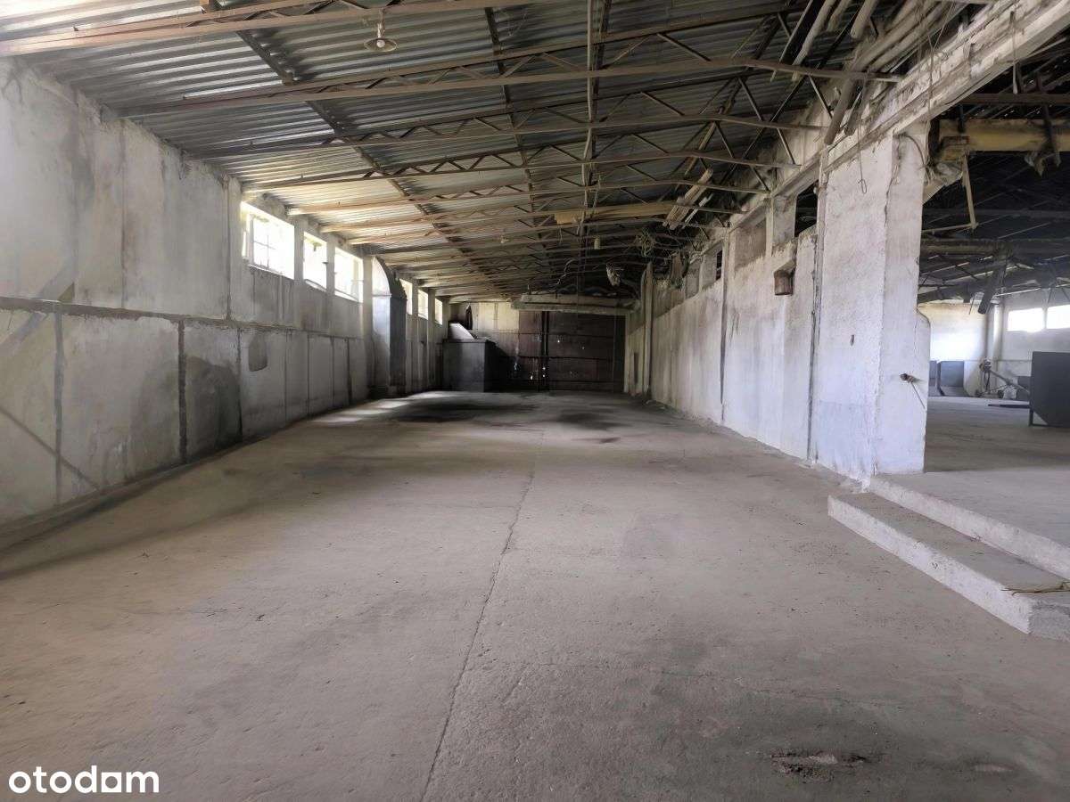 Hala magazynowo-produkcyjna z zapleczem biurowym-5