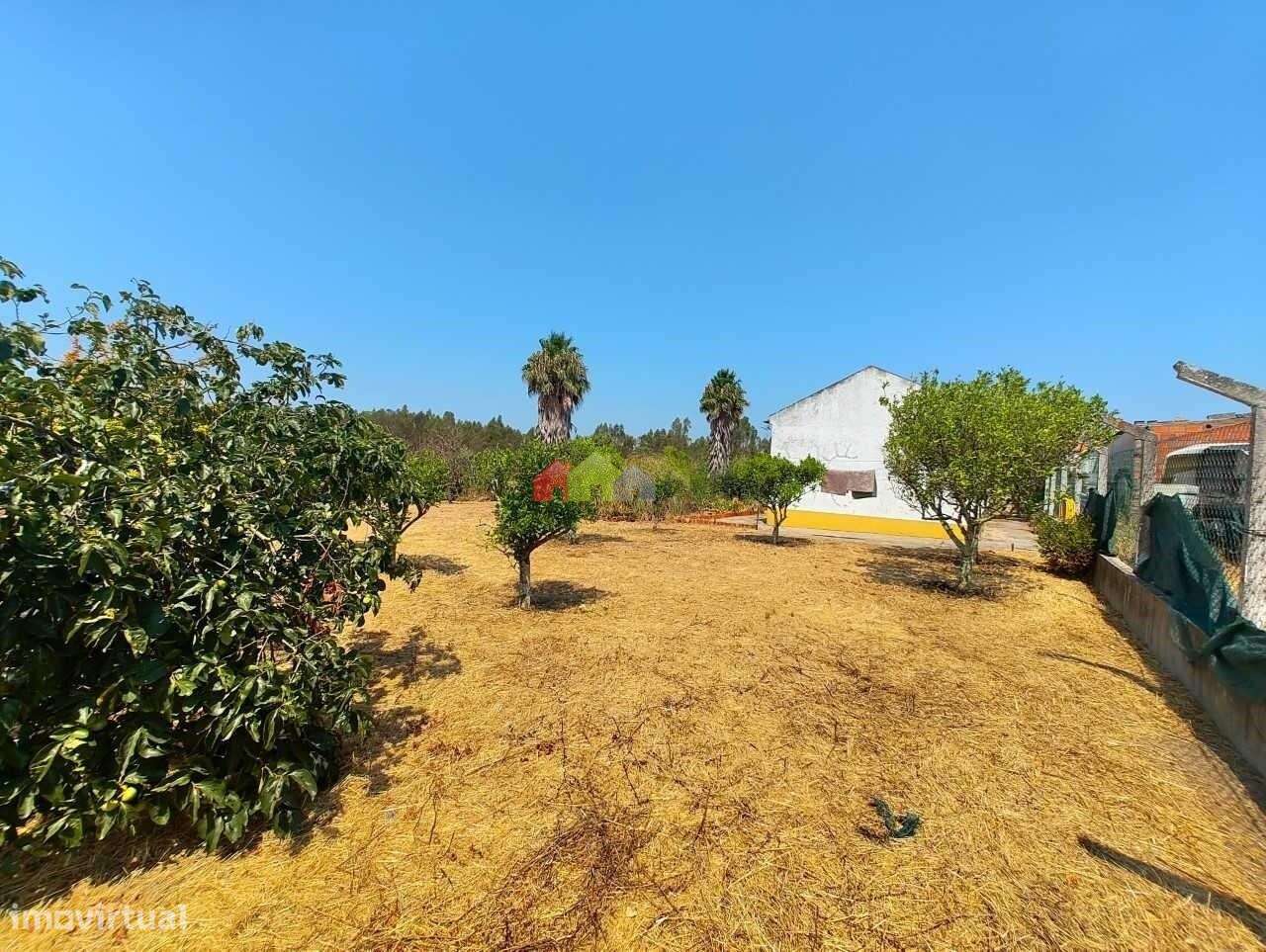 Quinta C/Moradia T2 - Foros de Vale de Figueira-2