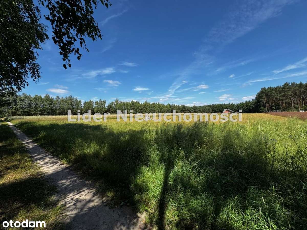 Piękne działki pod lasem , blisko rzeka, cisza, OSTOJA SPOKOJU - Pełny obrazek: 5/7