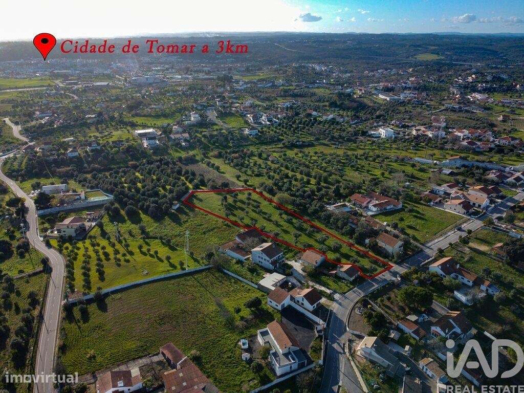 Terreno em Tomar (São João Baptista) e Santa Maria dos Olivais de 6000 - Grande imagem: 4/30