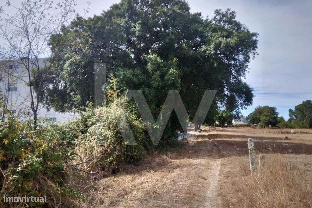 Terreno com 2100 m2 - Grande imagem: 5/15