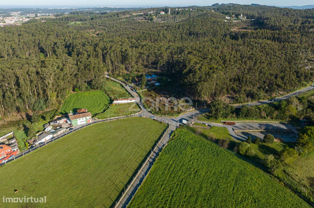 Terreno com 4200m2 em São Pedro de Avioso - Grande imagem: 5/16