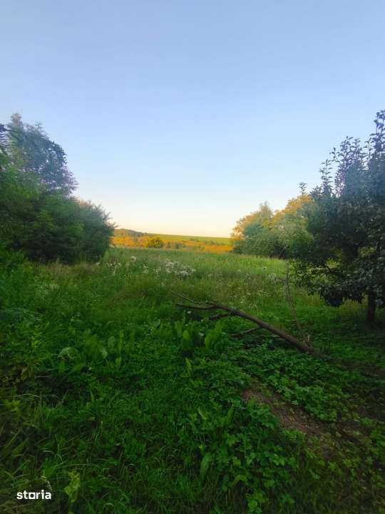 Casa individuala, 3500mp teren, zona Negostina, Siret - Imagine principală: 5/6