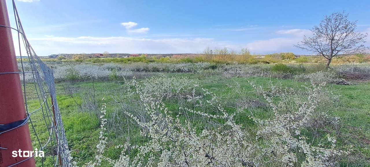 Mogosoaia, teren 792 mp, vedere la lac, utilitati, statie STB la 750m - Imagine principală: 4/5