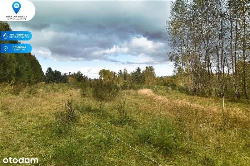 Otoczeniu lasu, Jezioro Gowidlińskie 500m-3