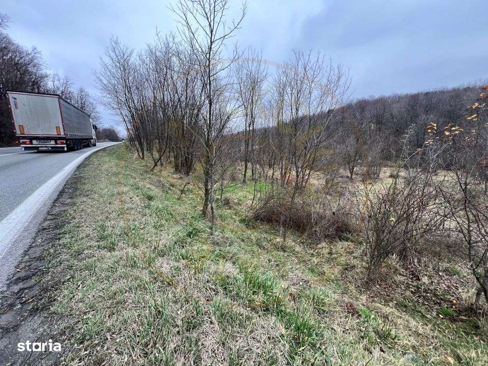 Teren intravilan 6.500 m²–Deschidere 144 ml drum european E81, km 3 - Imagine principală: 2/5