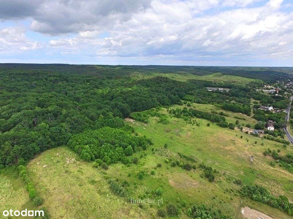 Dla Inwestora! Przy drodze głównej i lesie - Wz! - Pełny obrazek: 4/9