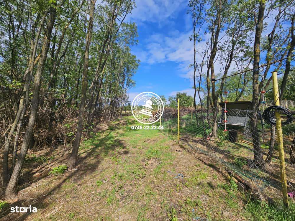 Teren intravilan 900 m , Aroneanu , 1km de la rond , langa padurice - Imagine principală: 4/6