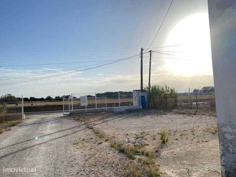 Alugo area de 350 m2, com armazém de 200m2 e mais 150 de logradouro - Grande imagem: 5/11