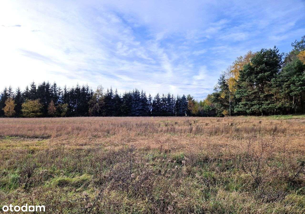 Ustawna działka z warunkami zabudowy Radojewo-2